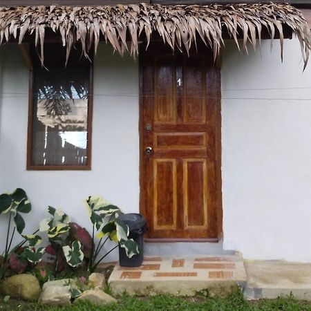 Ziah'S Guest House サン・ヴィチェンテ エクステリア 写真