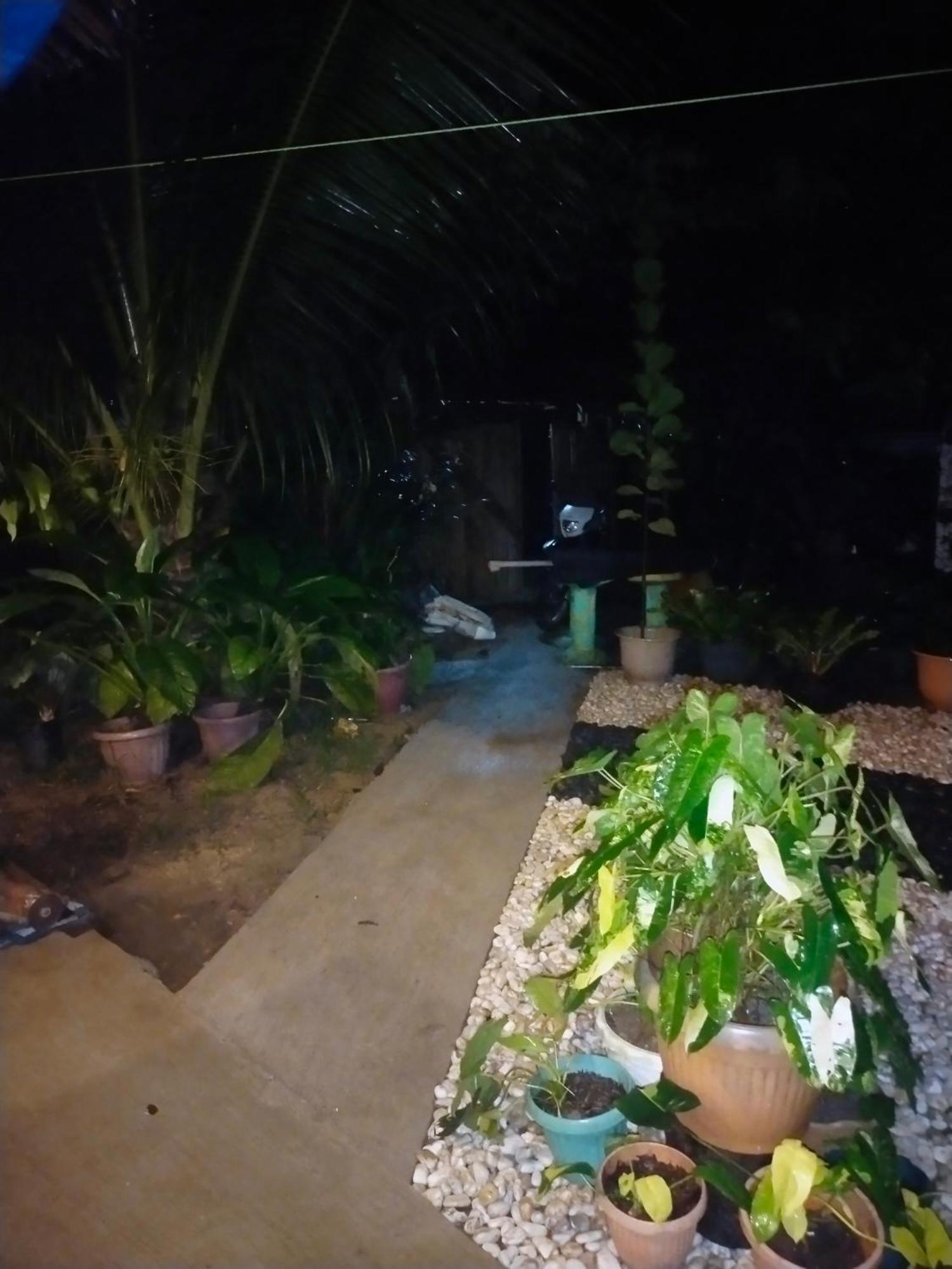 Ziah'S Guest House サン・ヴィチェンテ エクステリア 写真